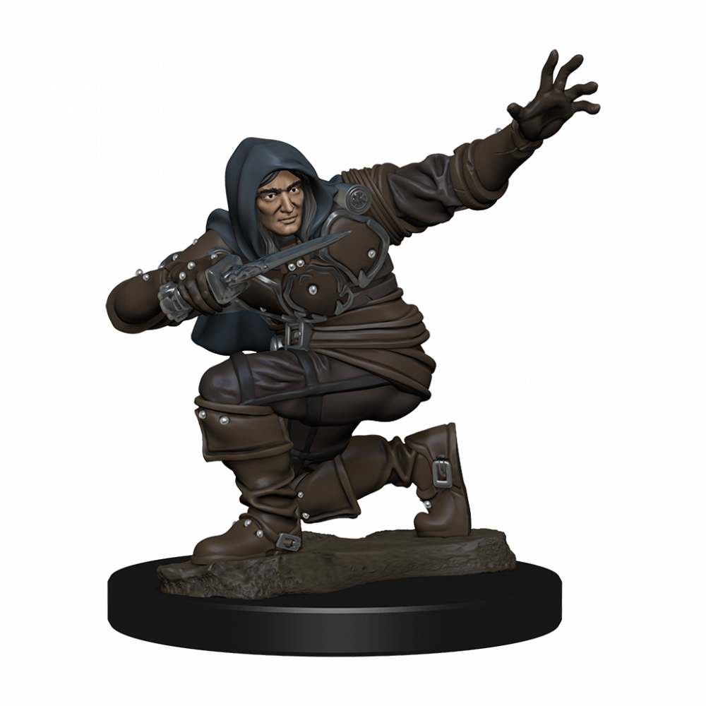 Pathfinder Battles Premium Painted Figure Human Rogue Male