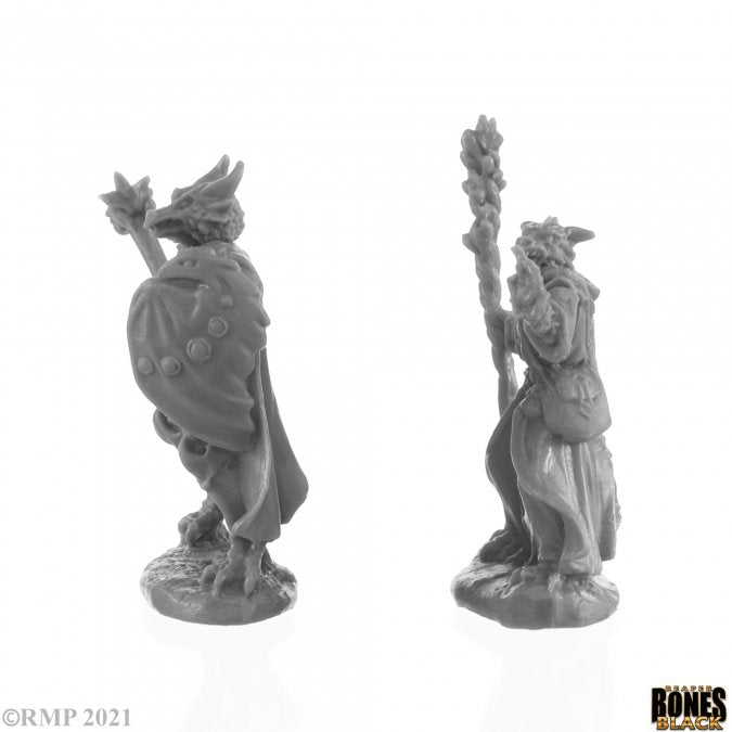 Reaper Bones Black - Dragonfolk Wizard And Cleric