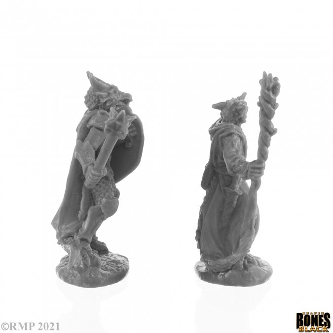 Reaper Bones Black - Dragonfolk Wizard And Cleric