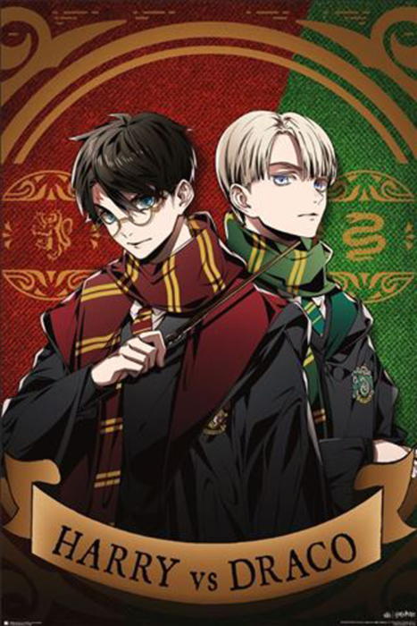 Harry Potter - Harry Vs Draco Poster - Good Games