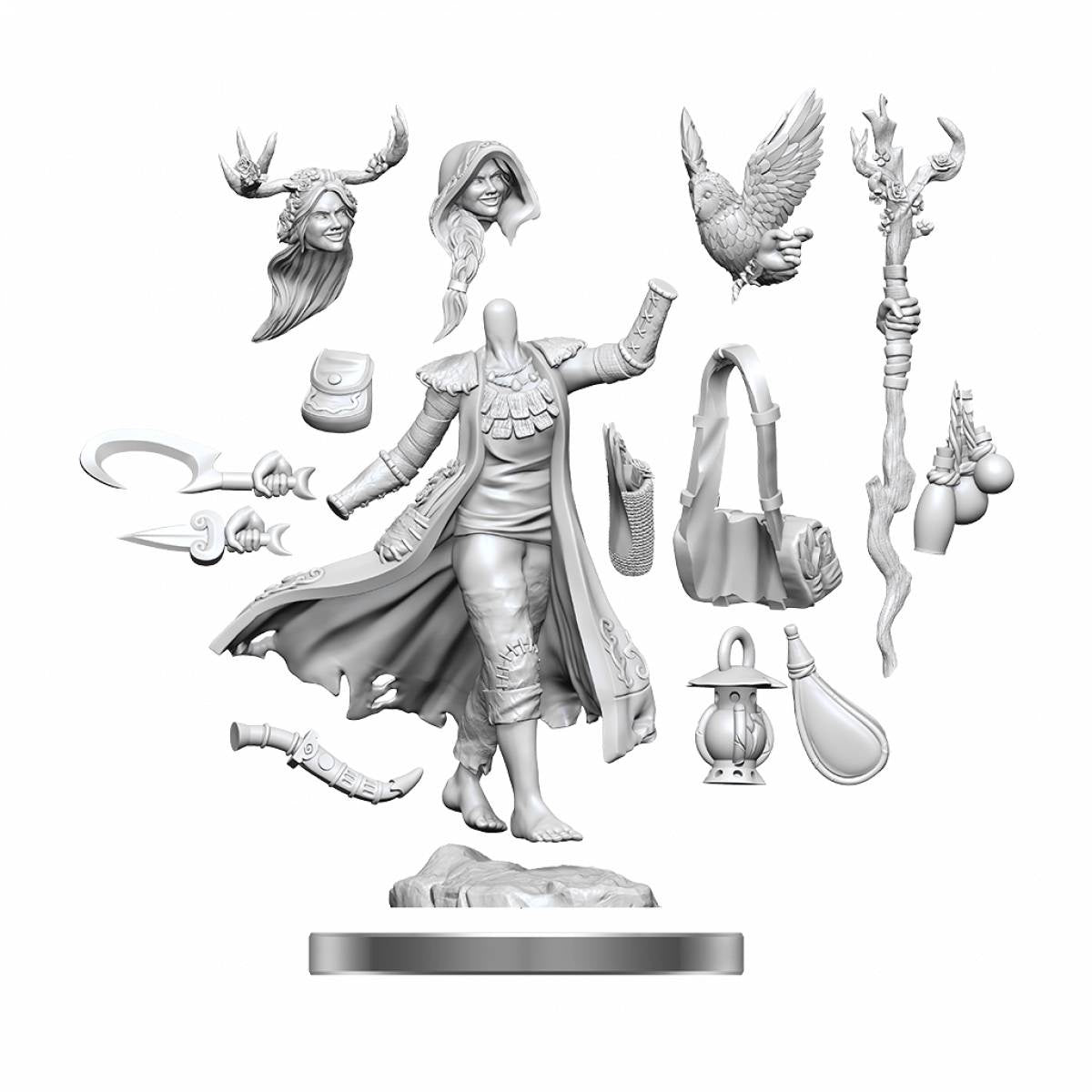 Dungeons &amp; Dragons Frameworks Human Druid Female