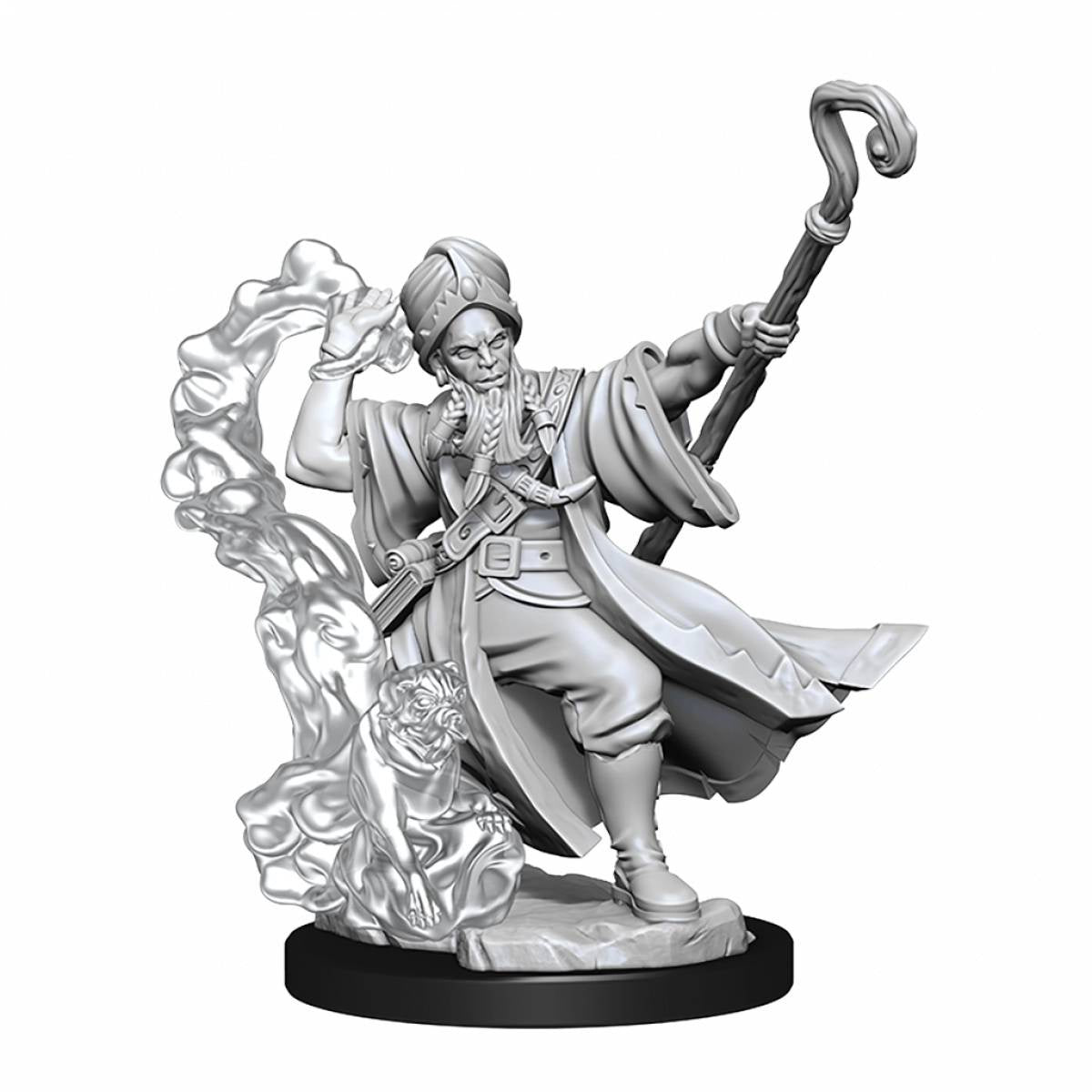 Dungeons &amp; Dragons Frameworks Human Wizard Male