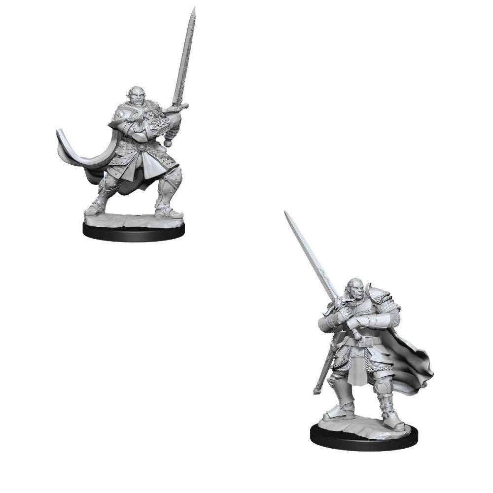 Dungeons &amp; Dragons - Nolzurs Marvelous Unpainted Miniatures Half-Orc Paladin Male - Good Games