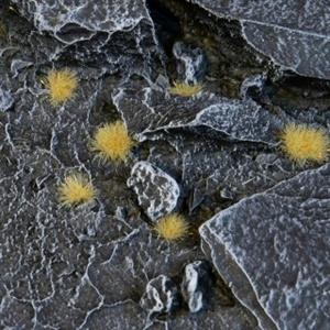 Gamers Grass Beige Tiny Tufts - Good Games