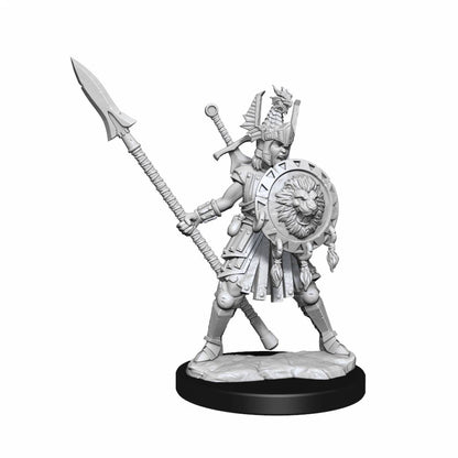 Dungeons & Dragons Frameworks Human Fighter Female - Good Games