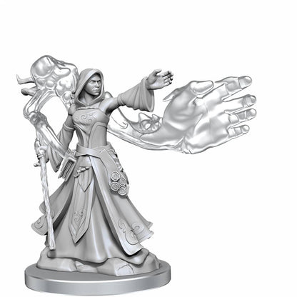 Dungeons & Dragons Frameworks Elf Wizard Female - Good Games