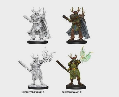 Pathfinder Battles Premium Painted Figure Half-Orc Druid Male - Good Games