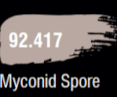 Dungeons &amp; Dragons Prismatic Paint Myconid Spore 92.417