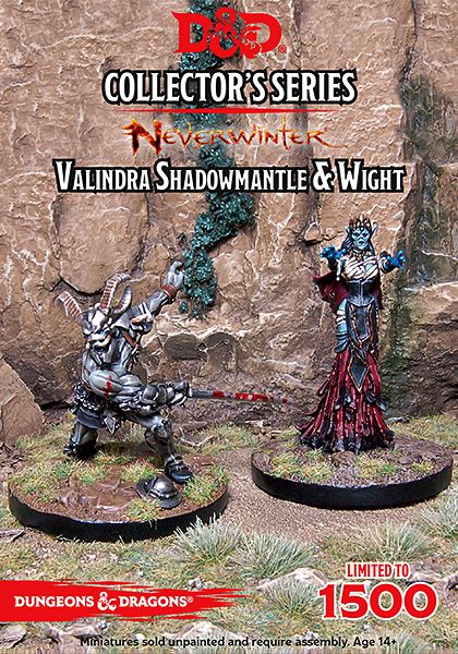 Dungeons and Dragons - Neverwinter Valindra Shadowmantle & Wight (2 Figs) - Good Games
