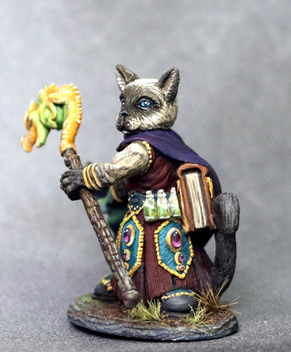 Critter Kingdoms: Siamese Cat Wizard with Staff