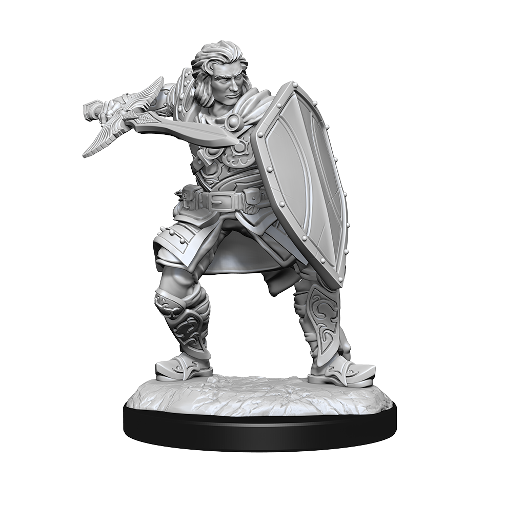 Dungeons & Dragons - Nolzurs Marvelous Unpainted Miniatures Human Paladin Male - Good Games