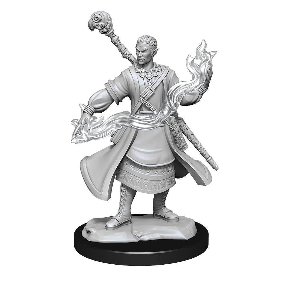 Half-Elf Wizard Male