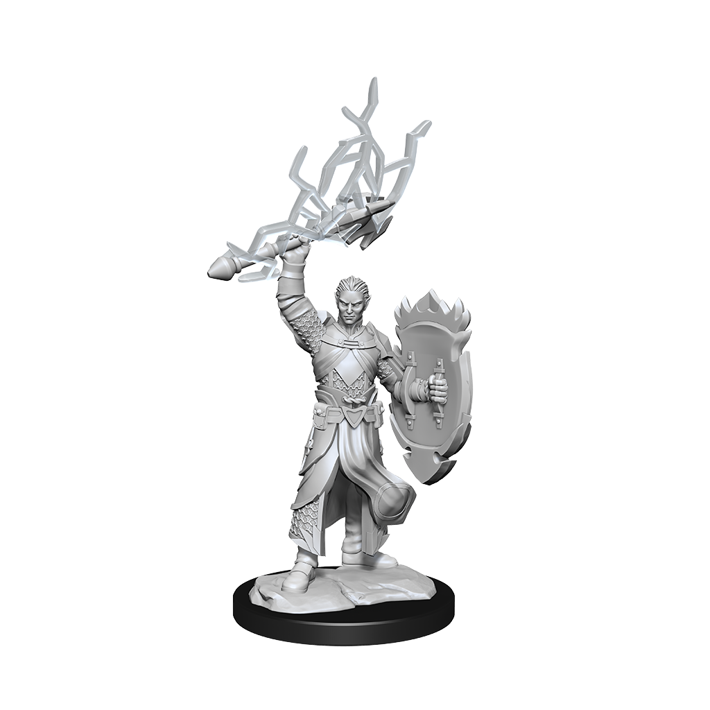Dungeons & Dragons - Nolzurs Marvelous Unpainted Miniatures Half-Elf Paladin Male - Good Games