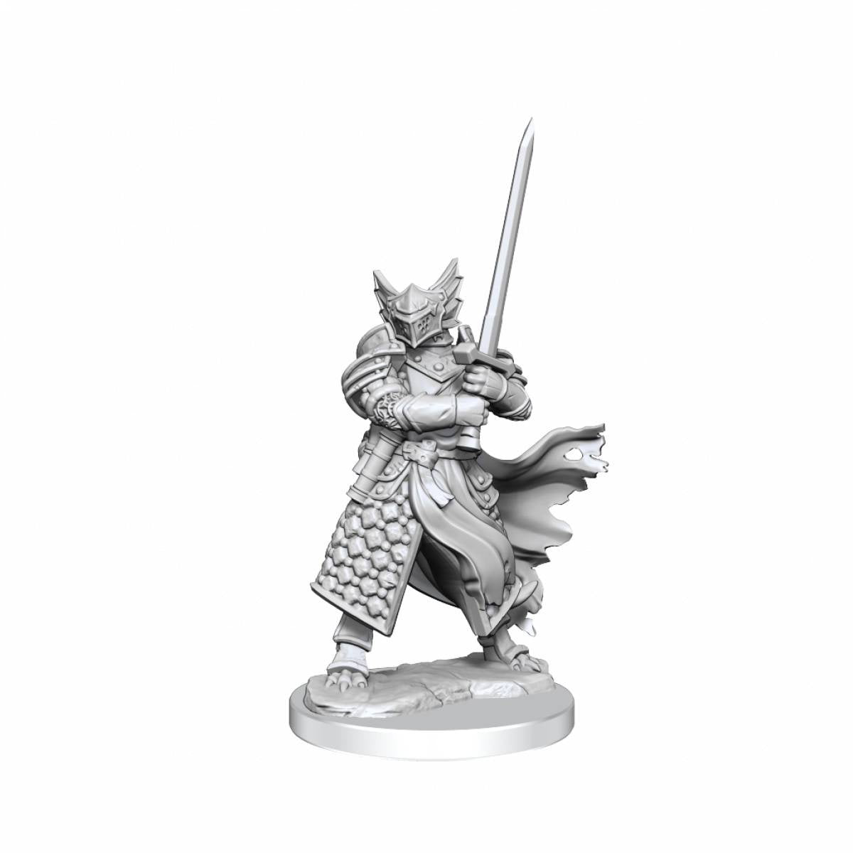 Dungeons &amp; Dragons Frameworks Dragonborn Paladin Male