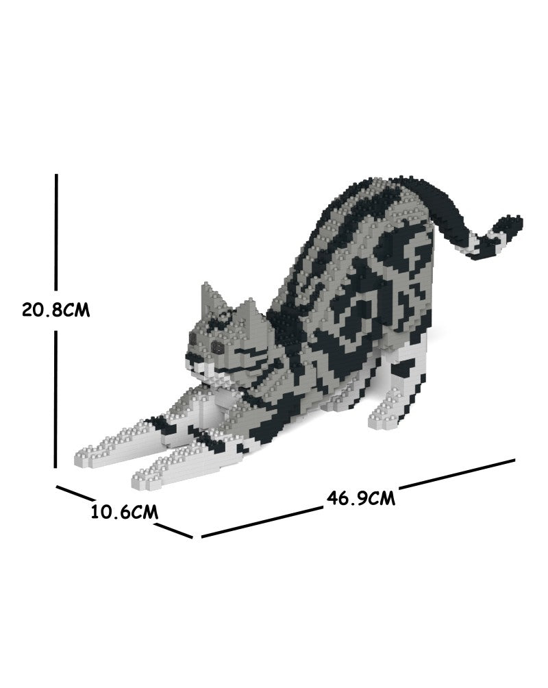 Jekca - American Shorthair Cat - Small (04S-M01) - Good Games