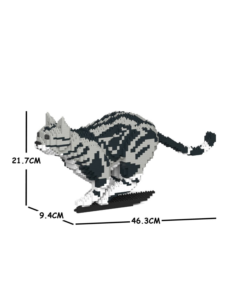 Jekca - American Shorthair Cat - Small (06S-M01) - Good Games