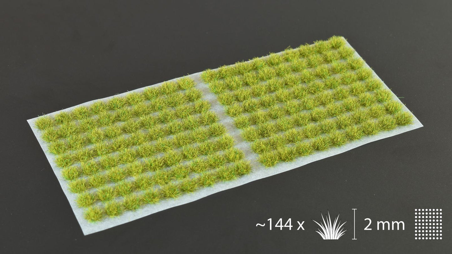 Gamers Grass: Tufts: Moss 2mm (Small) - Good Games