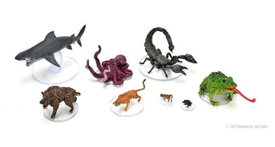 Dungeons &amp; Dragons Icons of the Realms Wild Shape &amp; Polymorph Set 1 - Good Games