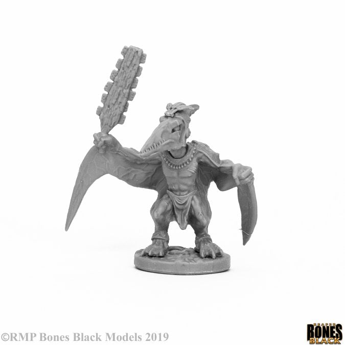 Reaper Bones Skywing Stormcaller - Good Games