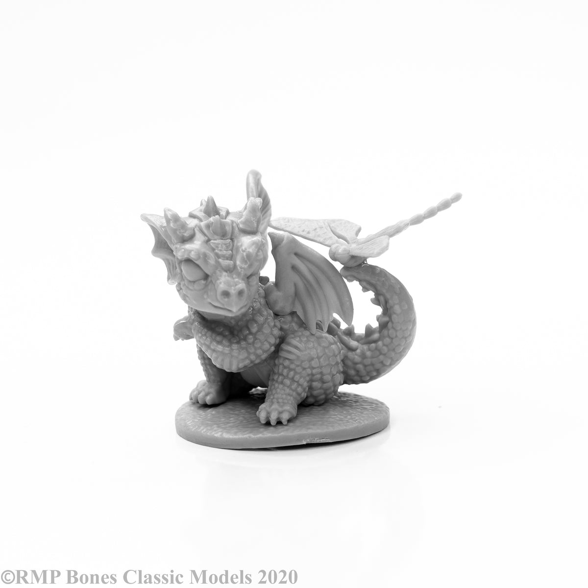 Reaper Bones Annoyed Rocky