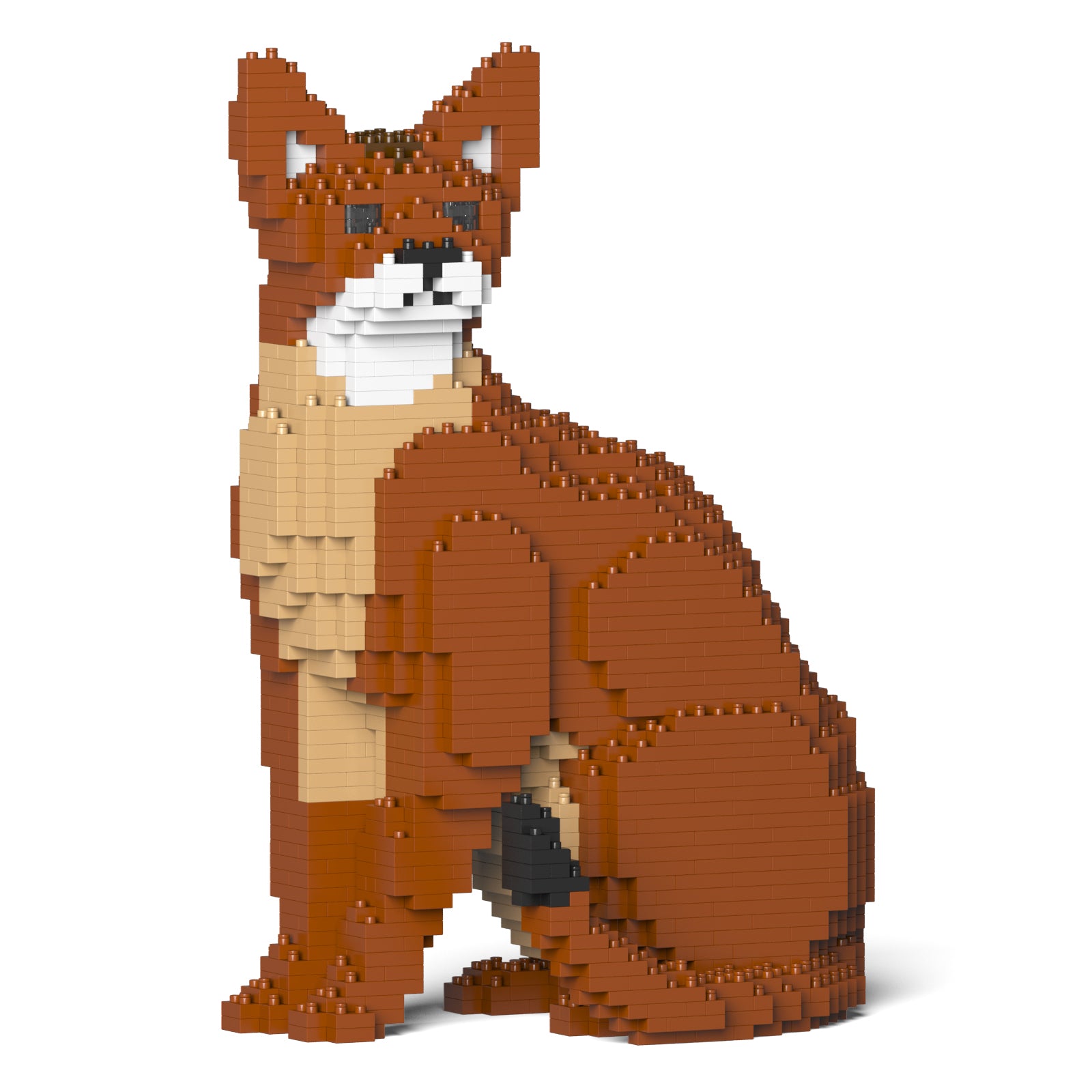 Jekca - Abyssinian Cat Small 02S - Good Games