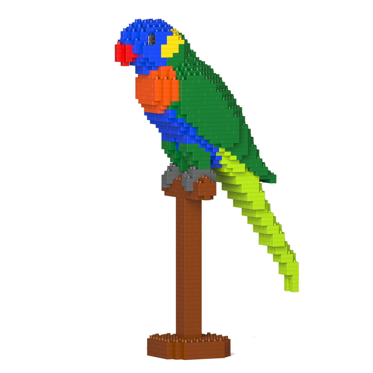 Jekca - Rainbow Lorikeet - Small (01S) - Good Games
