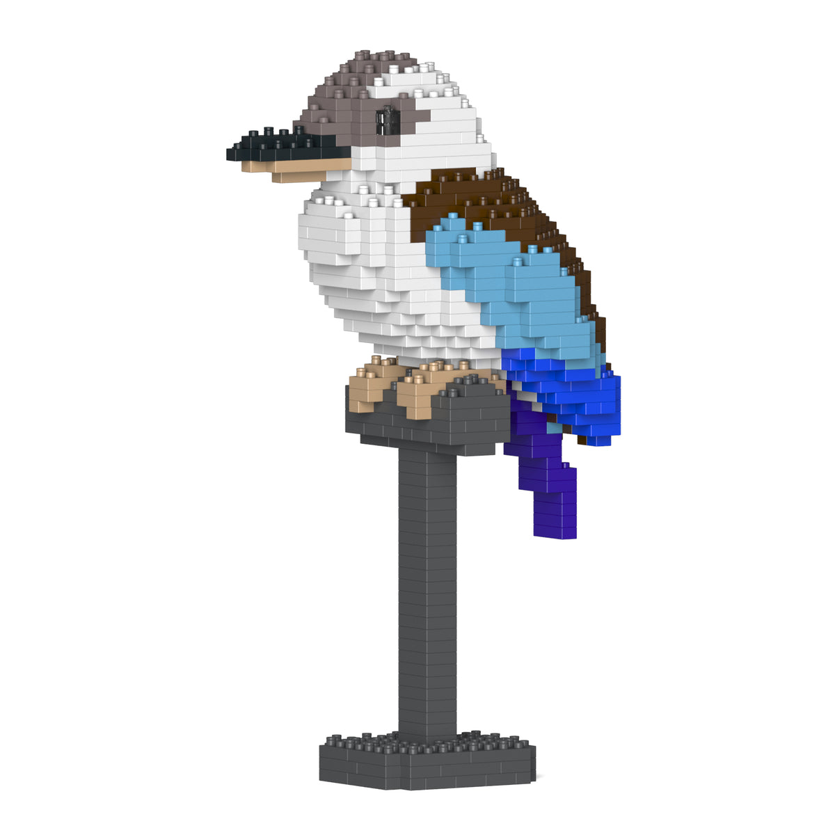 Jekca - Kookaburra - Small (01S-M02)