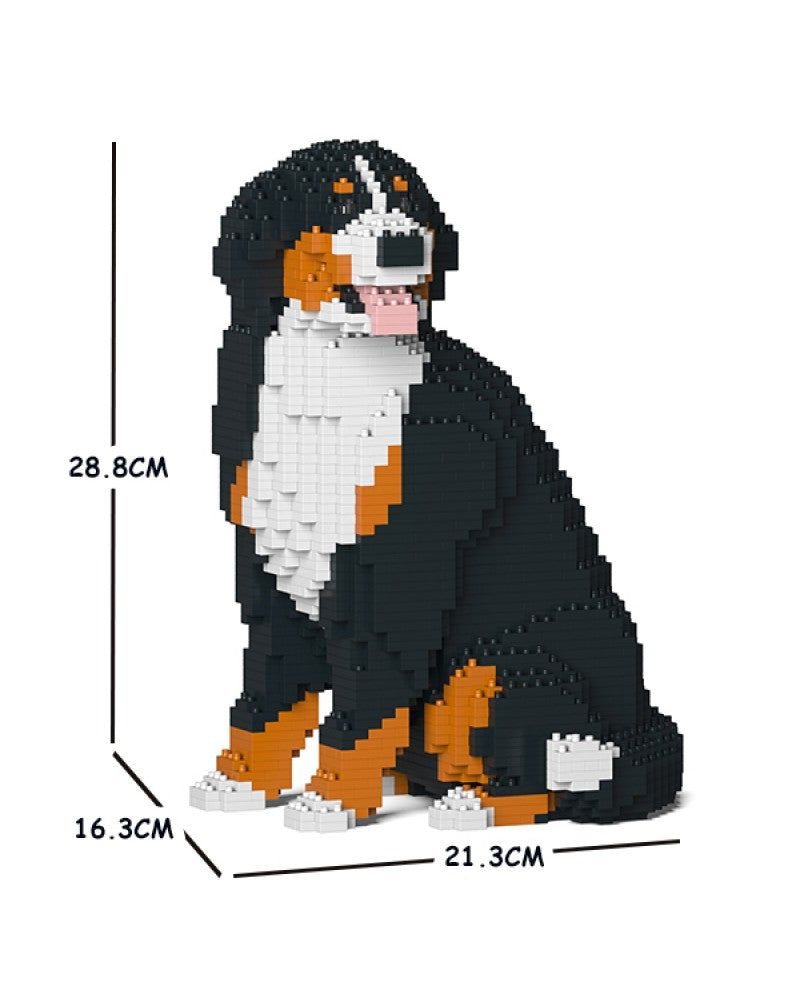 Jekca - Bernese Mountain Dog - Small (05S) - Good Games