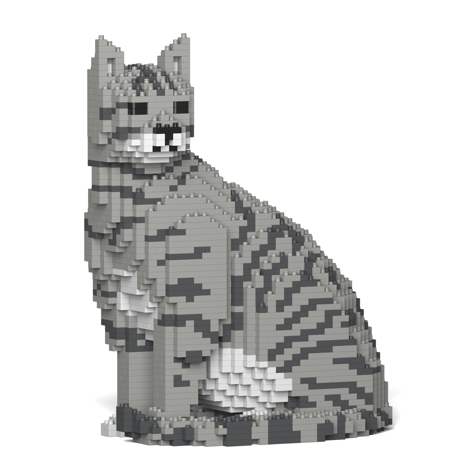 Jekca - Cat - Small (02S-M03) - Good Games