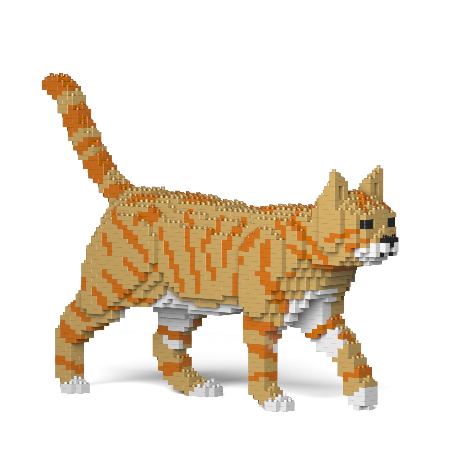 Jekca - Cat - Small (03S-M01) - Good Games