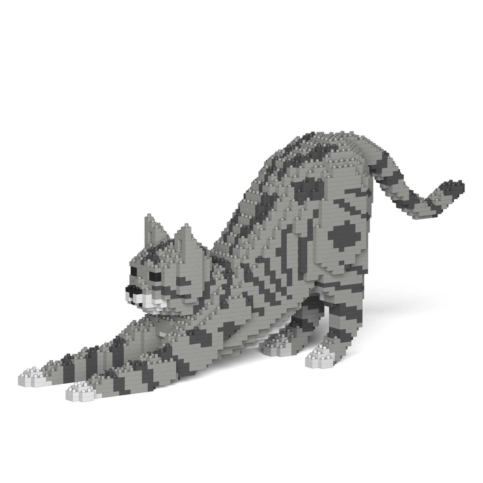 Jekca - Cat - Small (05S-M03) - Good Games