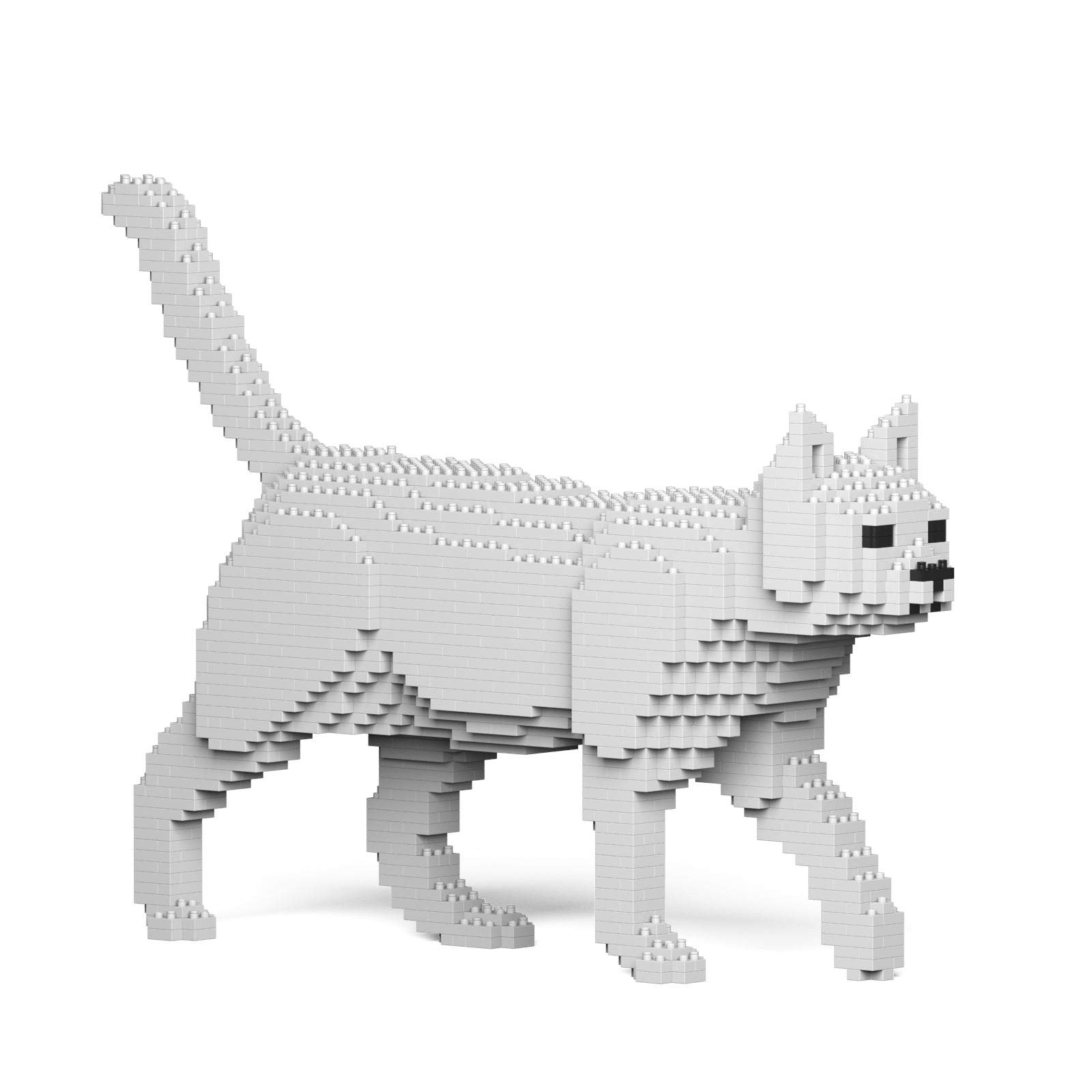 Jekca - Cat - Small (07S-M01) - Good Games