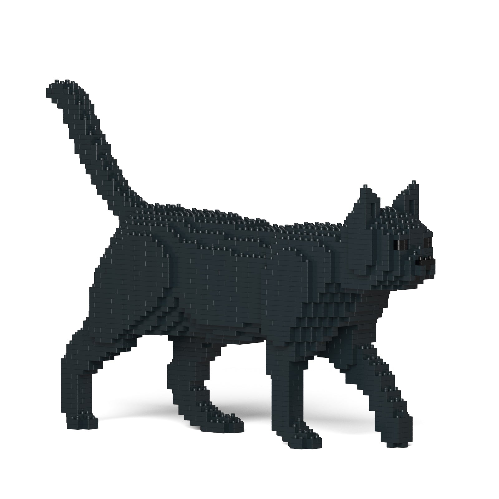 Jekca - Cat - Small (07S-M02) - Good Games