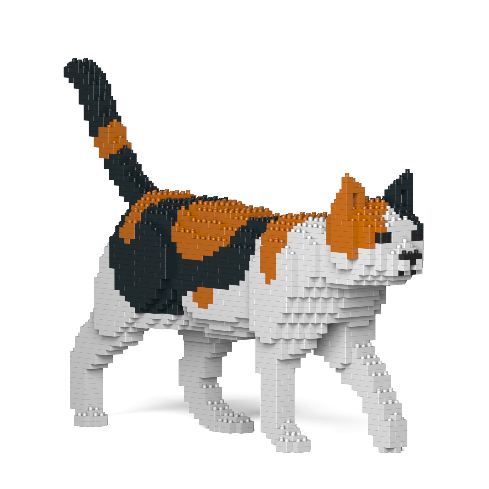 Jekca - Cat - Small (11S-M01) - Good Games