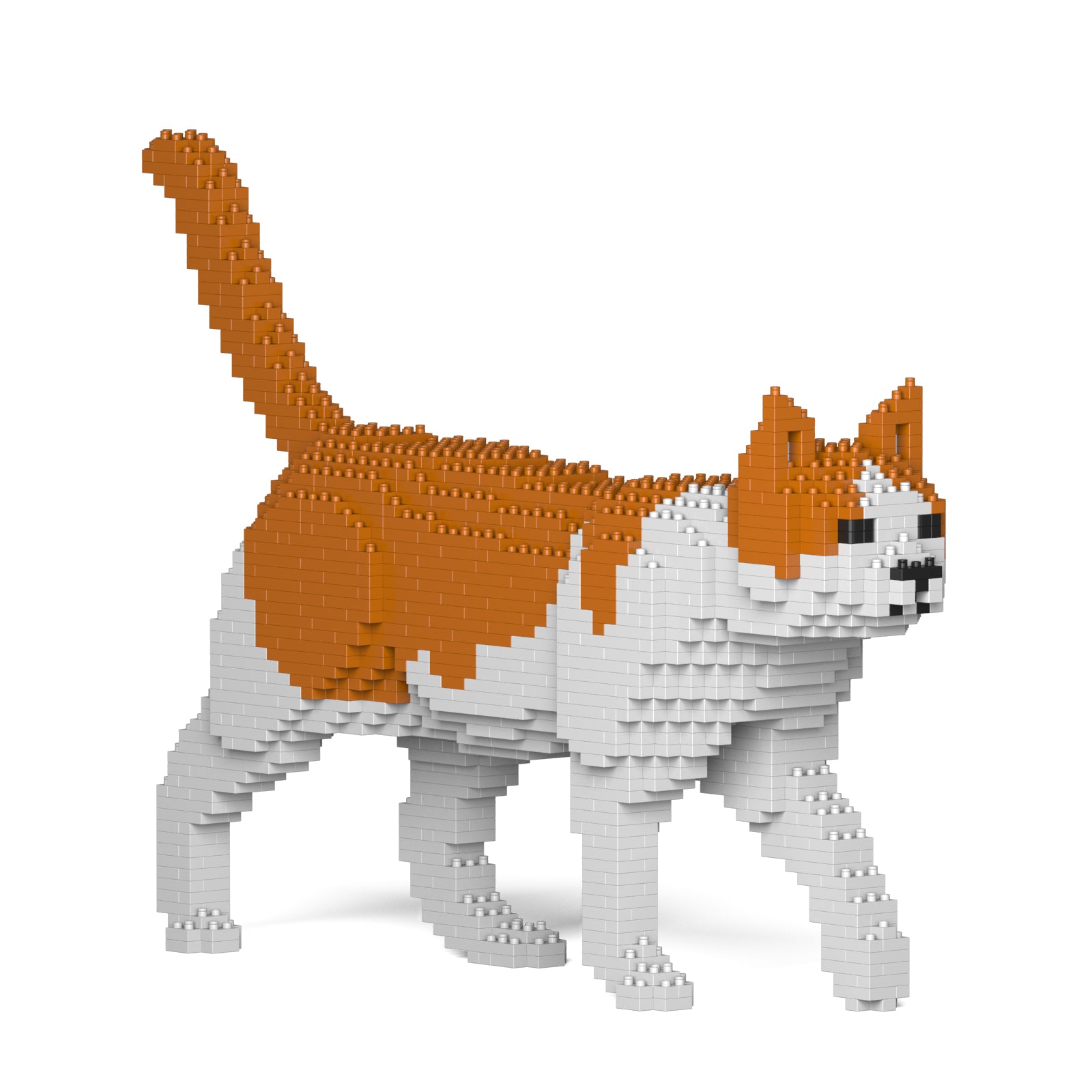 Jekca - Cat - Small (11S-M03) - Good Games