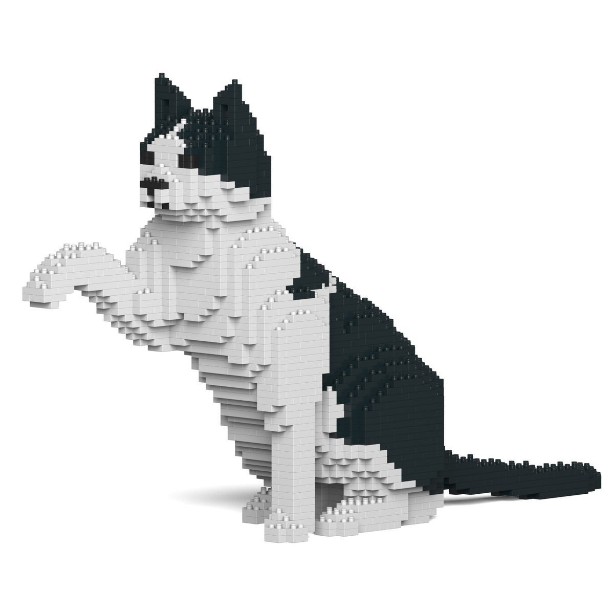 Jekca - Cat - Small (12S-M02) - Good Games
