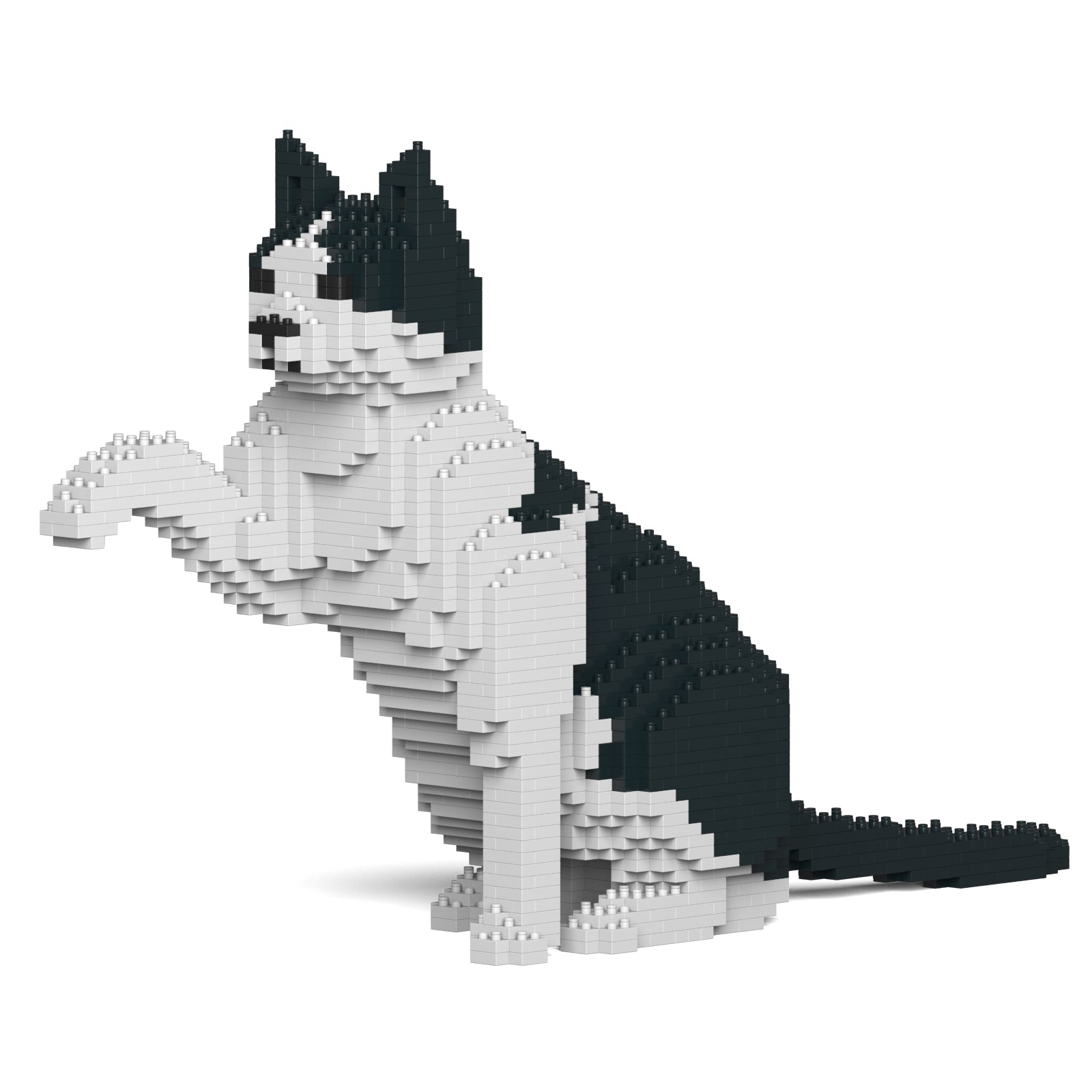 Jekca - Cat - Small (12S-M02) - Good Games