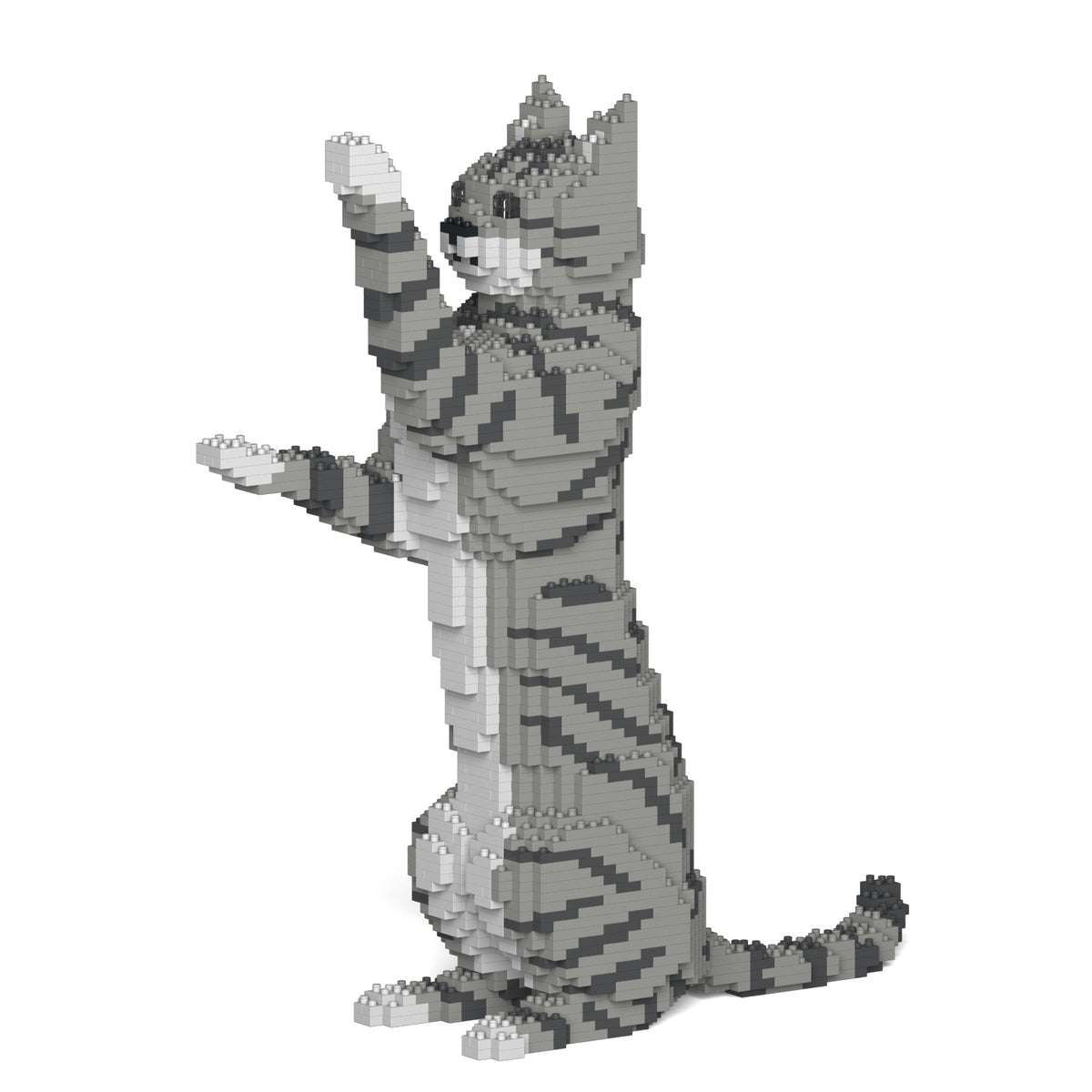 Jekca - Cat 14S-M - Small (14S-M03) - Good Games