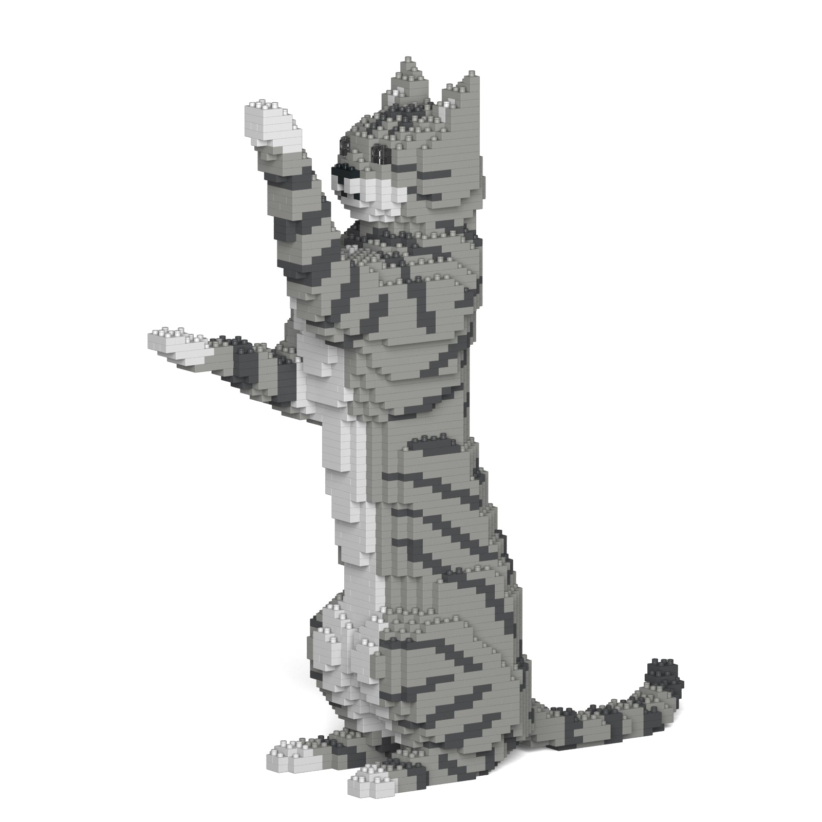 Jekca - Cat 14S-M - Small (14S-M03) - Good Games