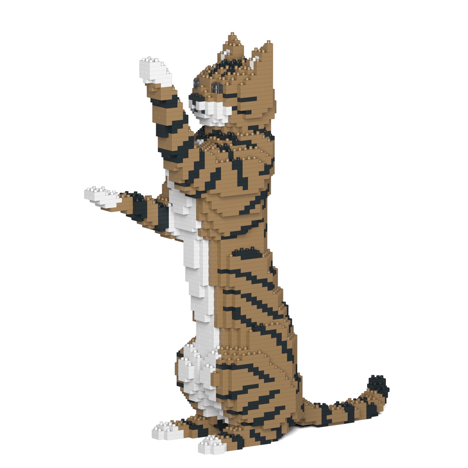 Jekca - Cat - Small (14S-M04) - Good Games