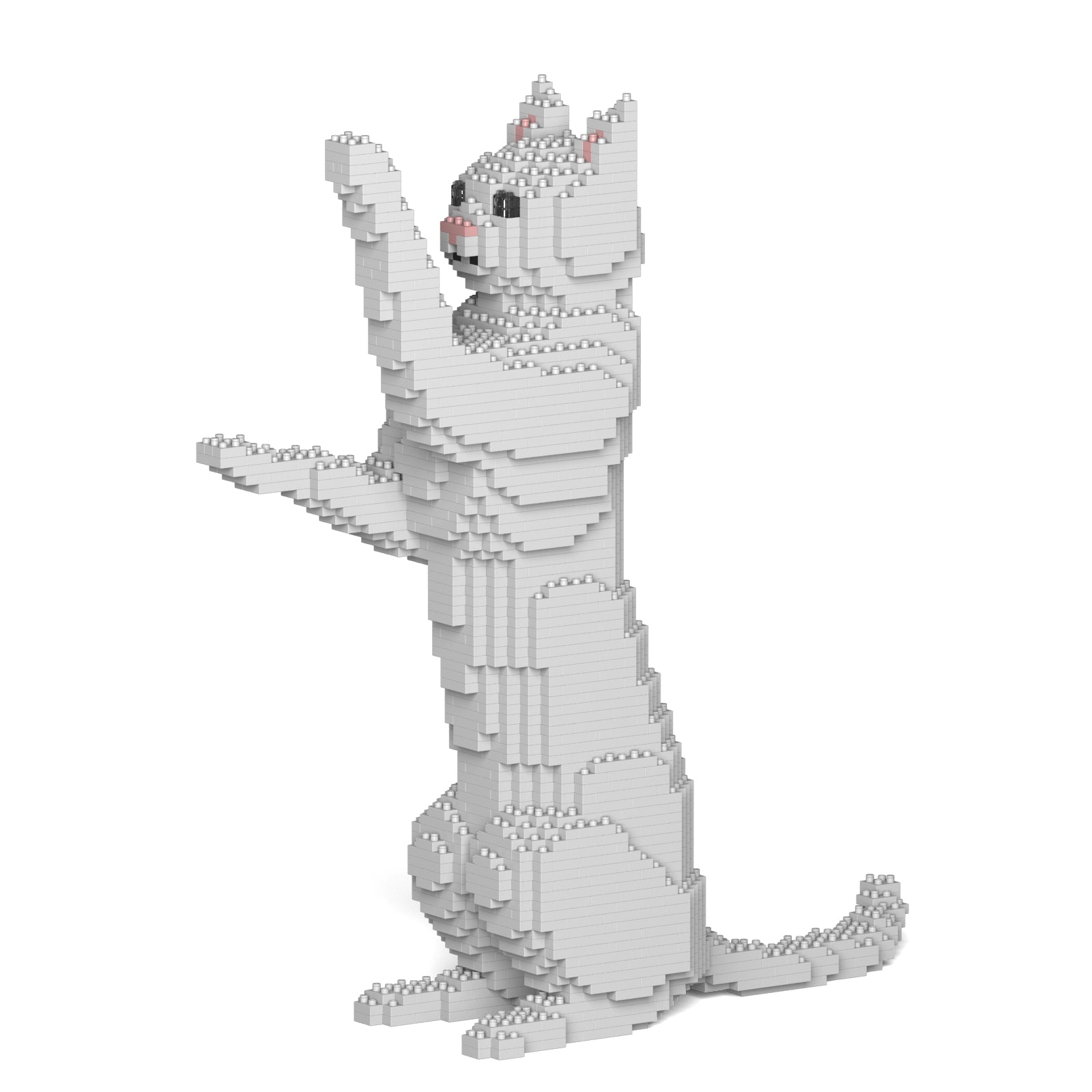 Jekca - Cat - Small (15S-M01) - Good Games