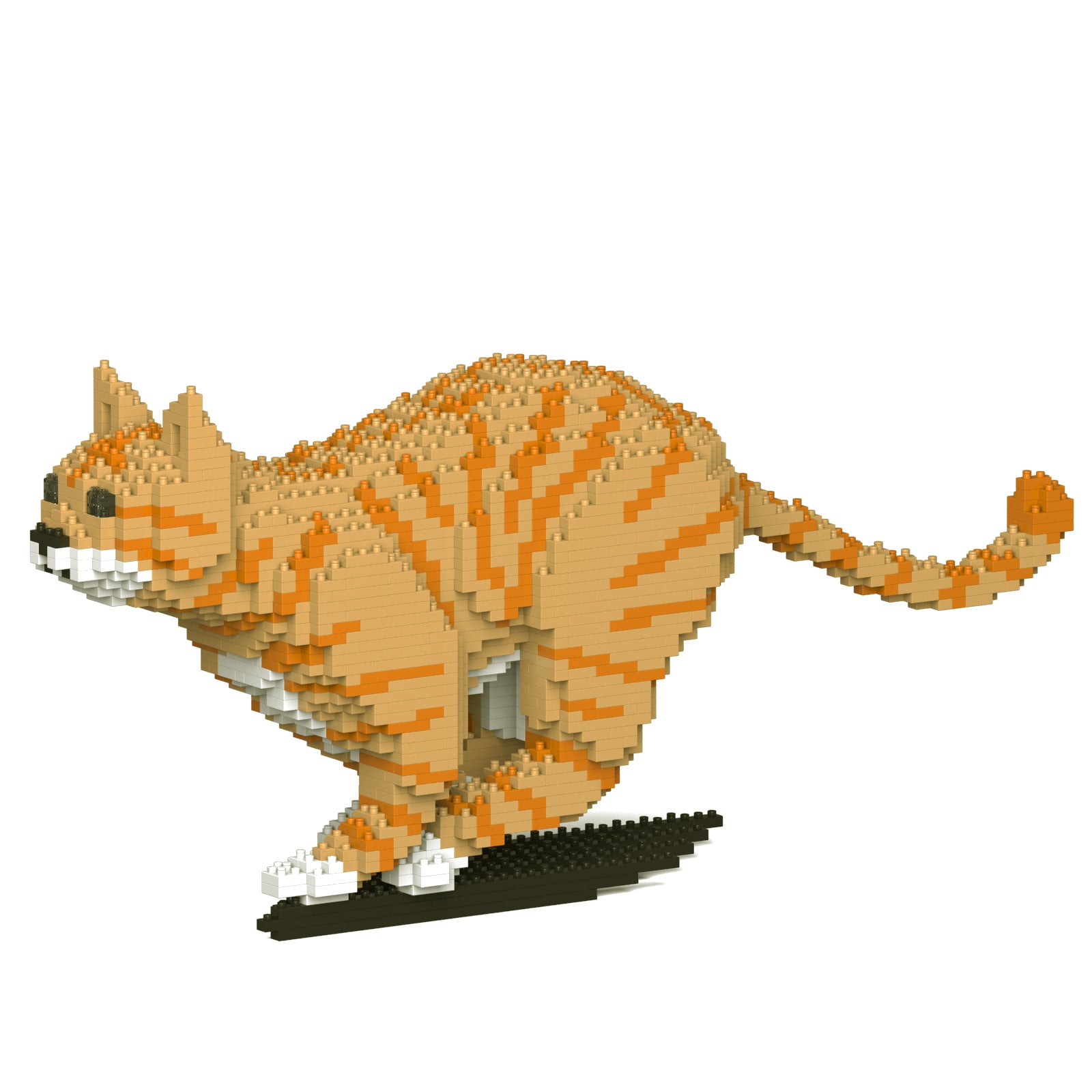 Jekca - Cat - Small (18S-M01) - Good Games