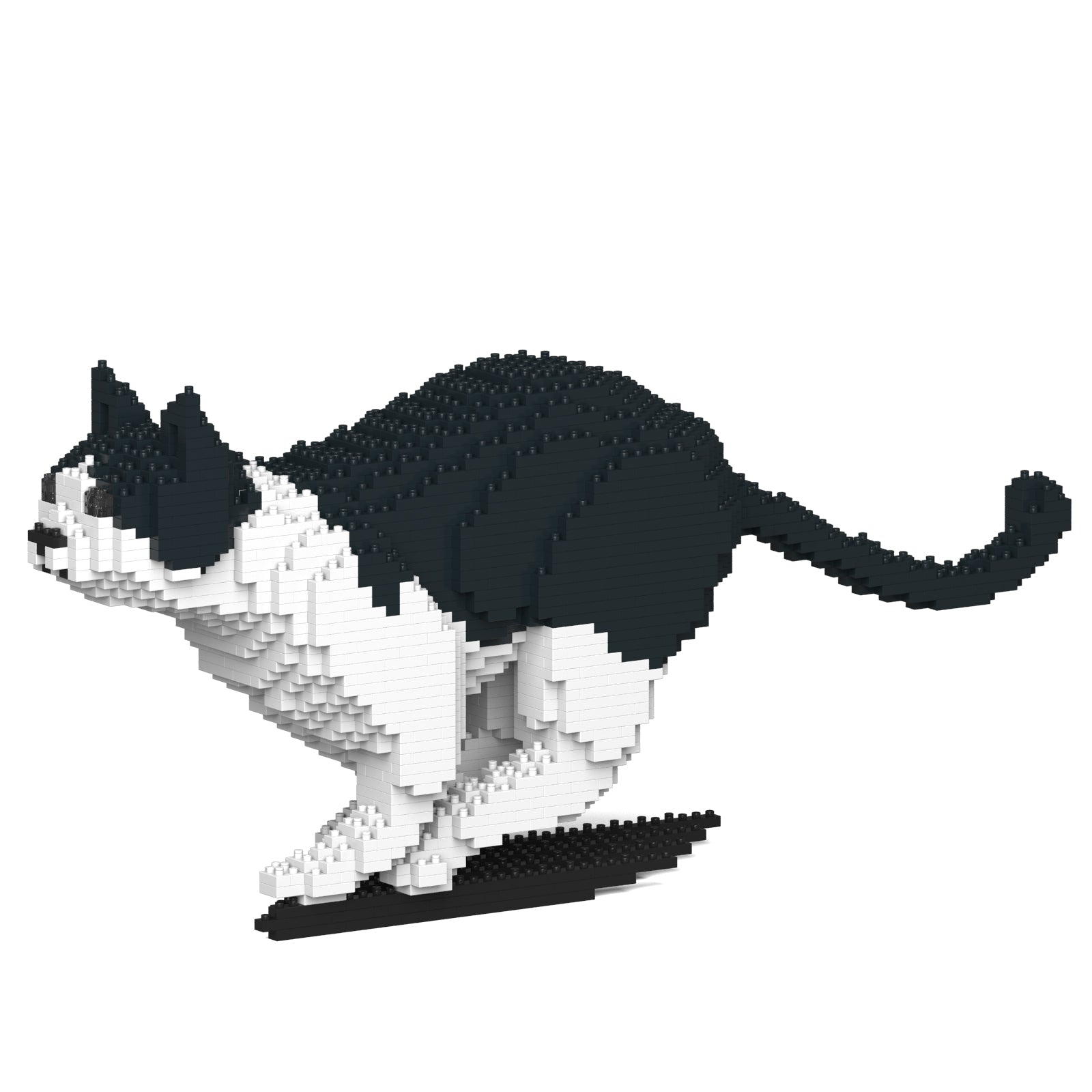 Jekca - Cat - Small (21S-M01) - Good Games
