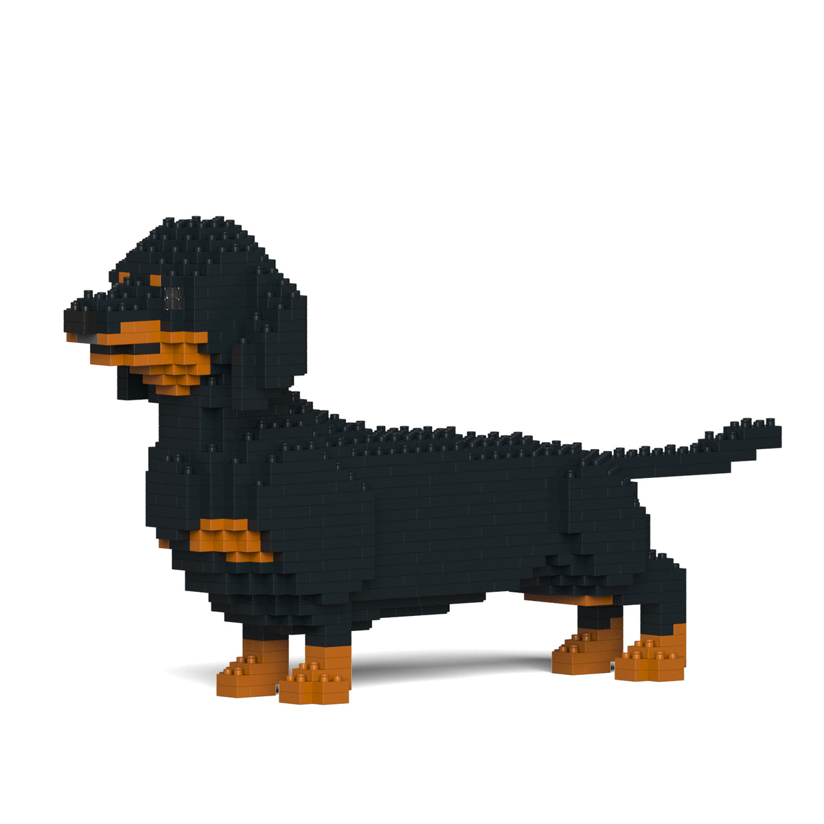 Jekca - Dachshund - Small (02S-M01)