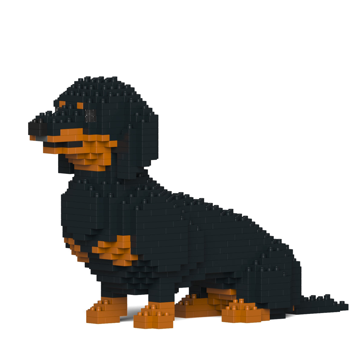 Jekca - Dachshund - Small (03S-M01) - Good Games