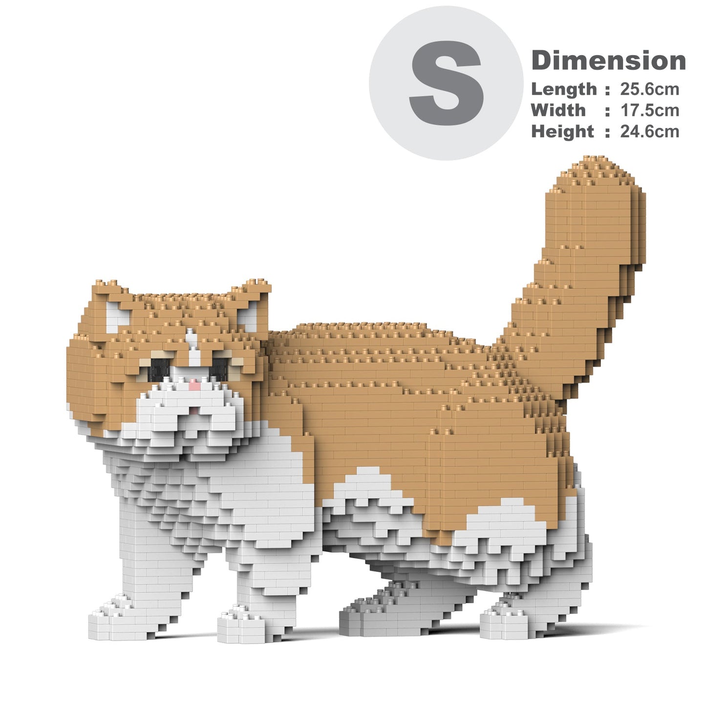 Jekca - Exotic Shorthair Cat 01SM01 - Good Games