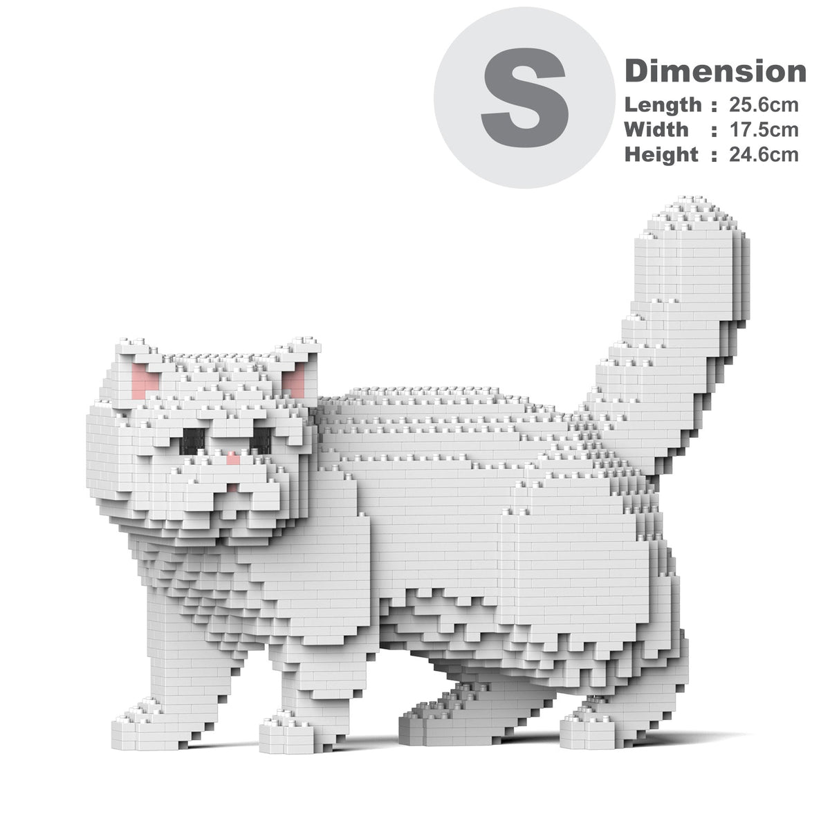 Jekca - Exotic Shorthair Cat 01S-M03