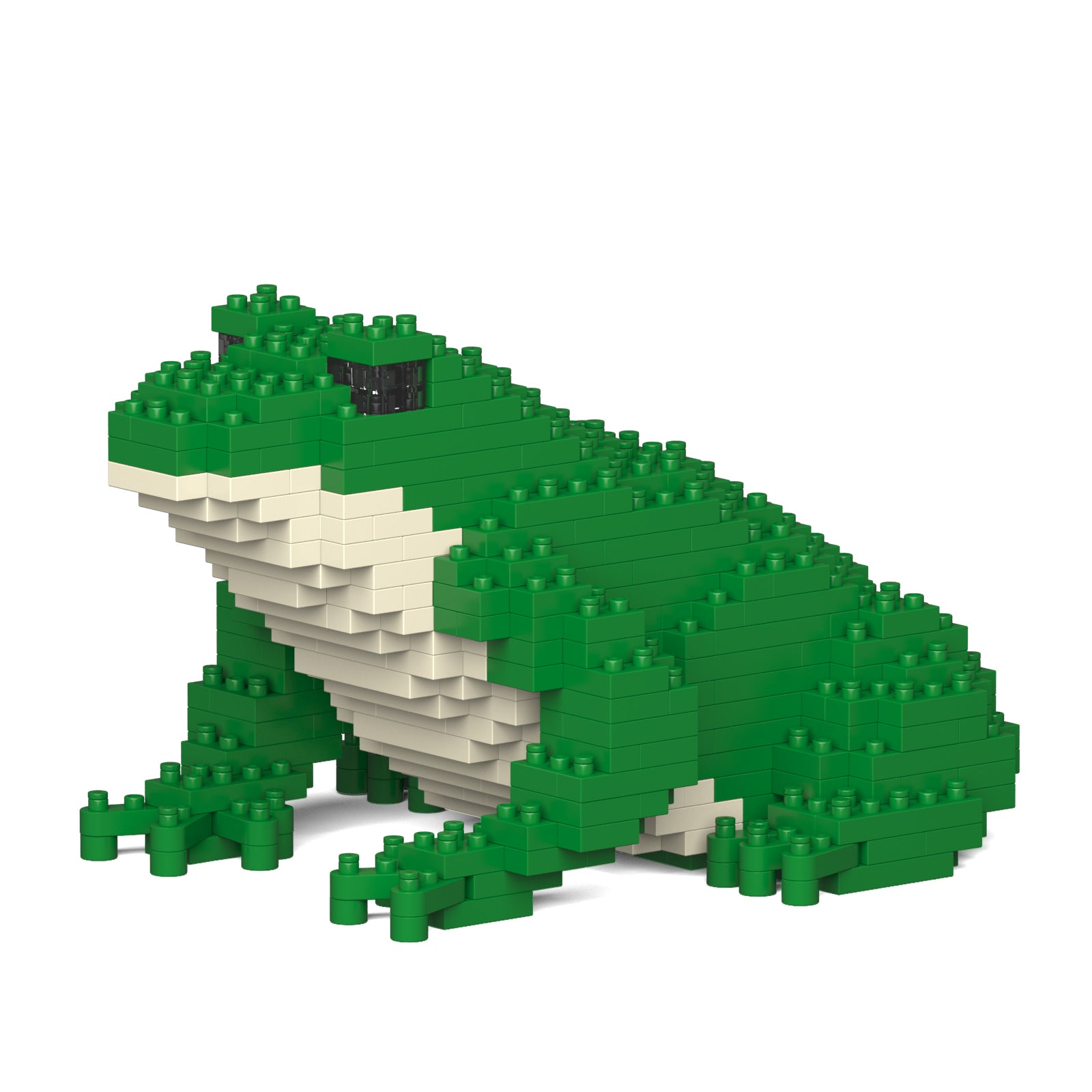 Jekca - Frog - Small (01S-M01) - Good Games