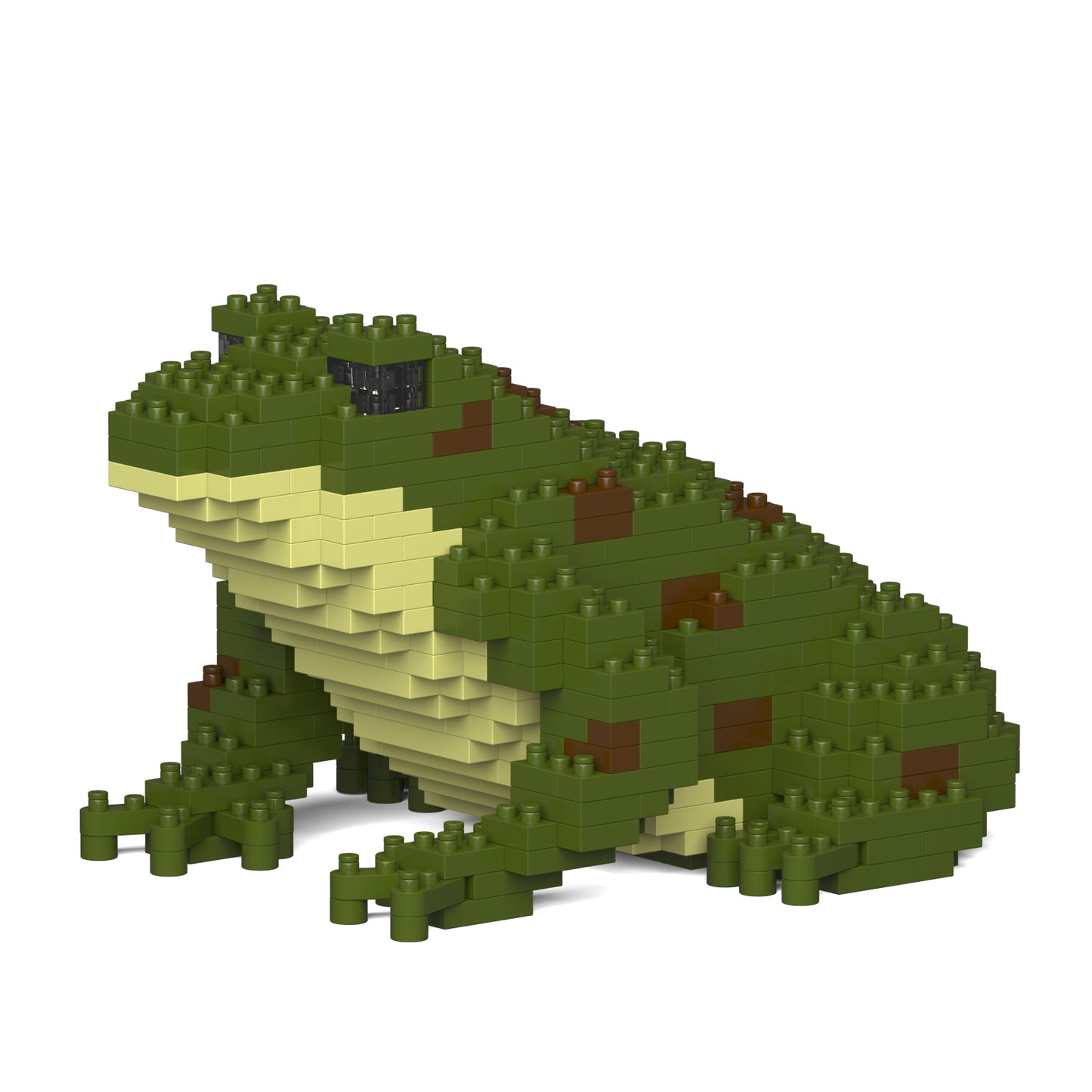 Jekca - Frog - Small (01S-M02) - Good Games