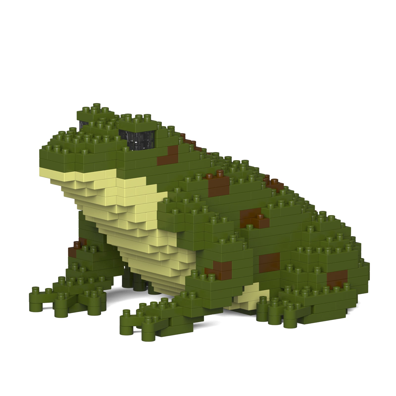 Jekca - Frog - Small (01S-M02) - Good Games